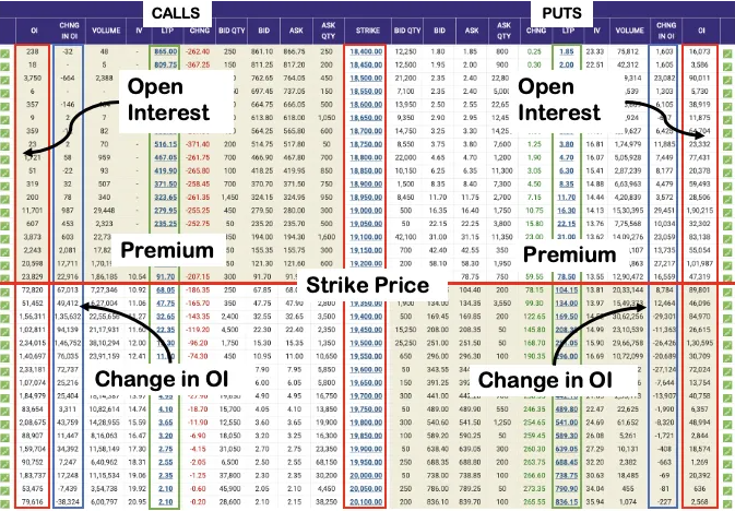 Option Chain